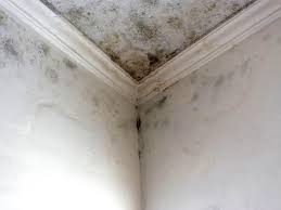 Best Residential Mold Inspection & Testing  in Jackson, GA