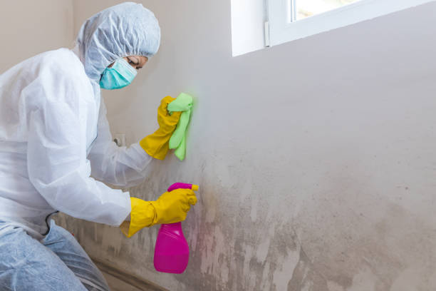 Best Crawl Space Mold Remediation  in Jackson, GA